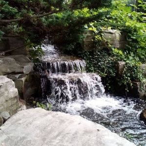 Meet your Posher, Paula